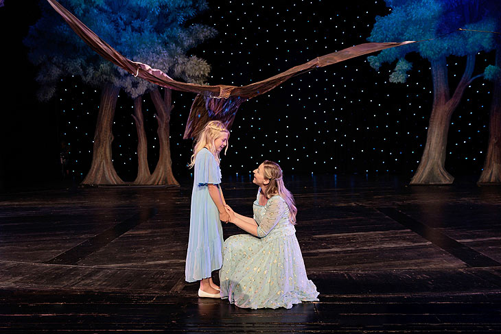 Cinderella Das Musical &copy;Foto: Michael Boehmlaender 